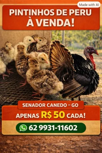 Peru filhotes