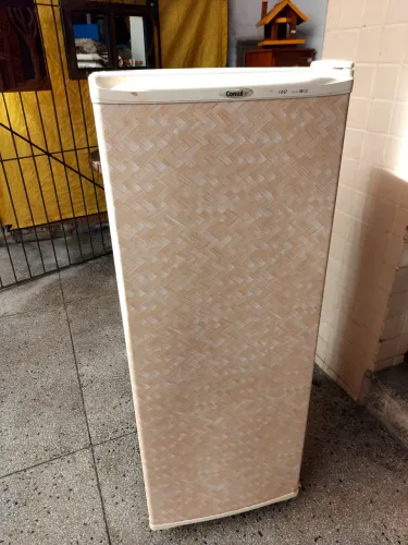 Frizer vertical