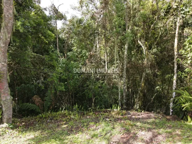 Terreno à Venda na Região do Alto do Capivari - Campos do Jordão/SP