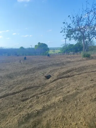 Granja com 3.6 hectares na região de Monte Alegre