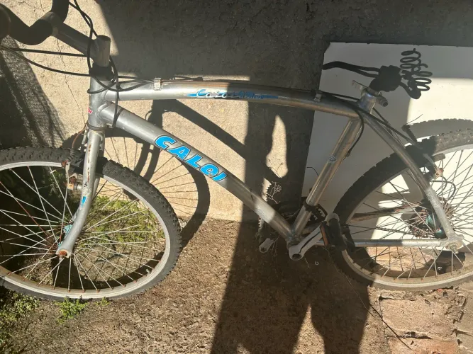 Caloi 100 bike 