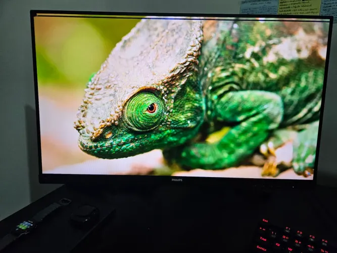 O monitor Philips 242V