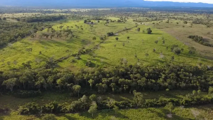 FAZENDA A VENDA