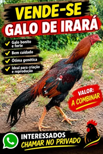 Galo