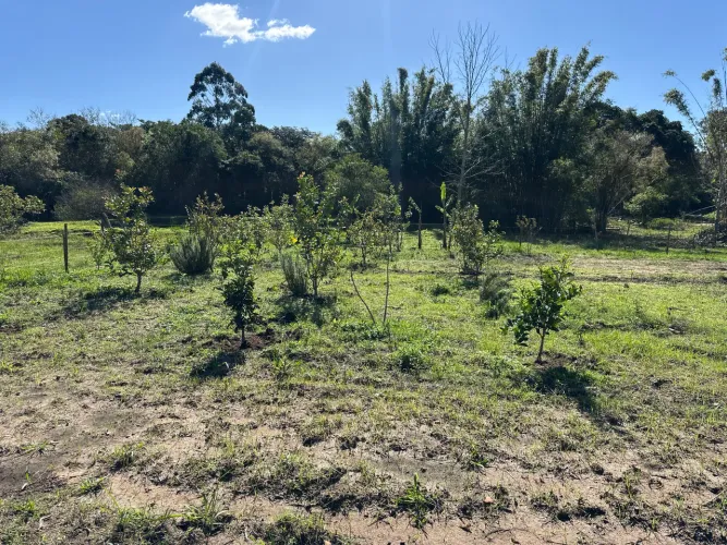 Sítio com aproximadamente 11 hectares