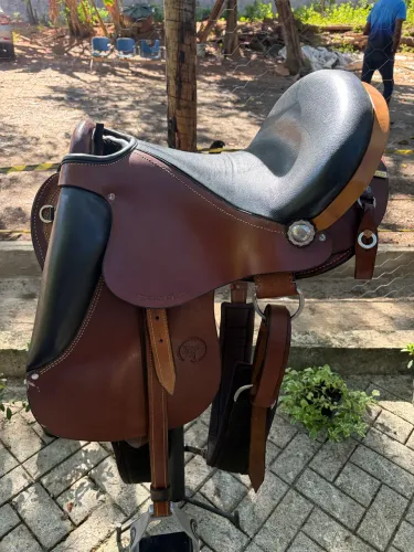 Cela de cavalo mangalarga