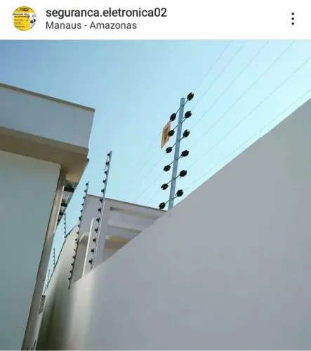 Cerca elétrica e concertina