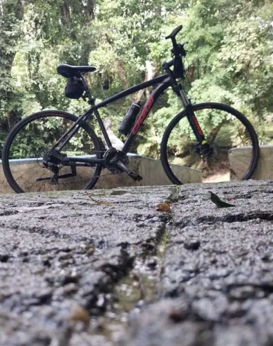 Bicicleta oggi aro 29
