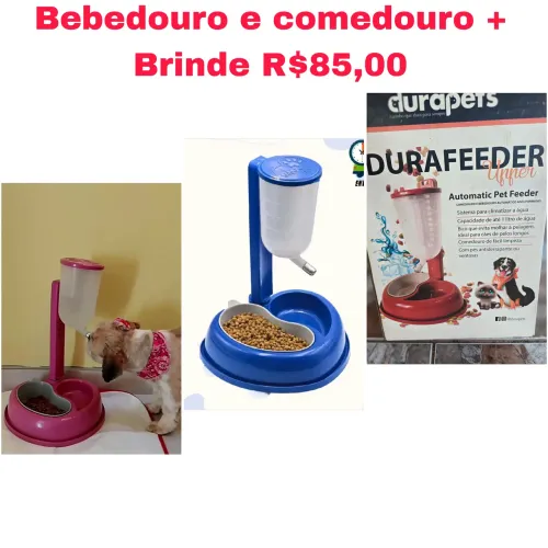 Utensílios para seu Pet