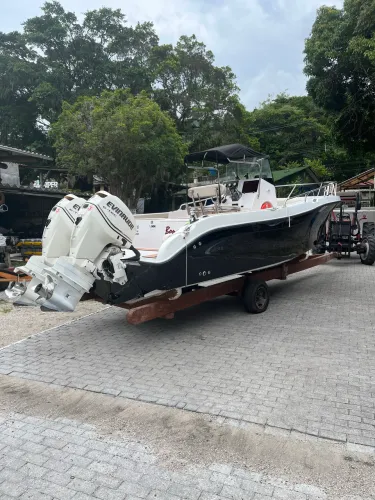 Lancha Fishing 265 Parelha Evinrude 130hp