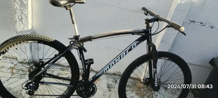 Bicicleta 29