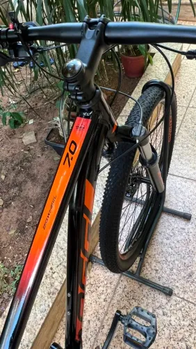 Oggi 7.0 aro 29 