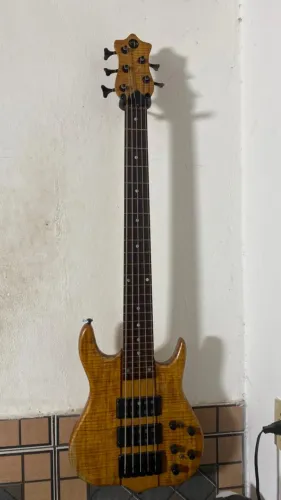Contra baixo 5 cordas apbass