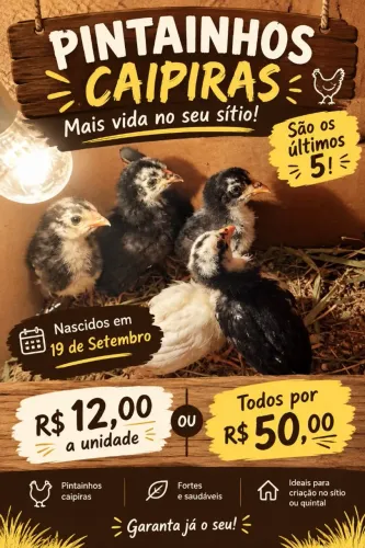 PINTAINHOS CAIPIRA 