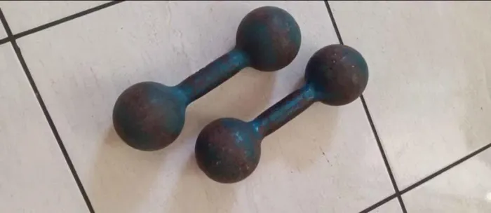 Par de Halteres de Ferro 6 kg Cada - R$ 150 ?