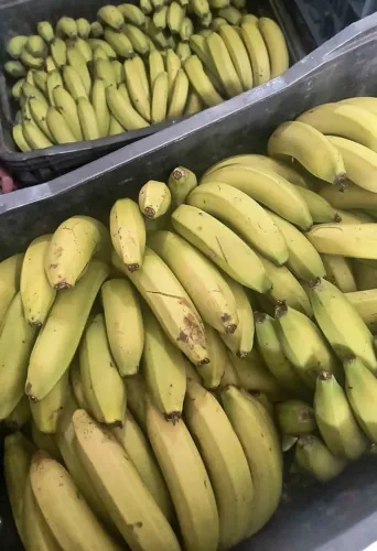 Mamão, Abacaxi e Banana + entrega à domicílio