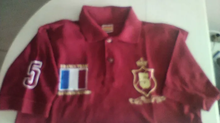 IMPERDÍVEL:CAMISA POLO ESPORTIVA