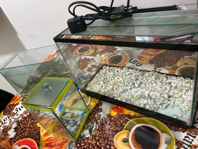 Aquário, conjunto 3 Aquários! Um grande um Médio e um pequeno
