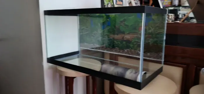 Aquário 80 cm - 112 Litros - Grande para Peixes Ornamentais