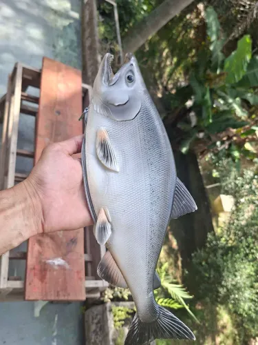 Bolsa em formato de Salmão 