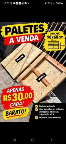 Paletes novo