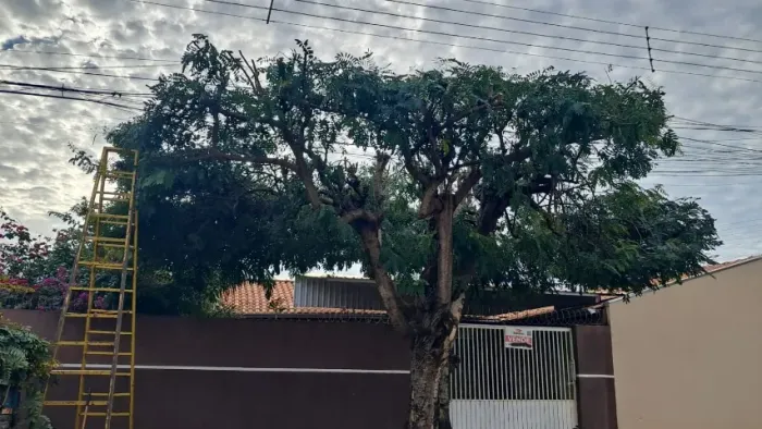 Casa no bairro Santa Terezinha com 2 quartos, suíte, amplo quintal e salão comercial