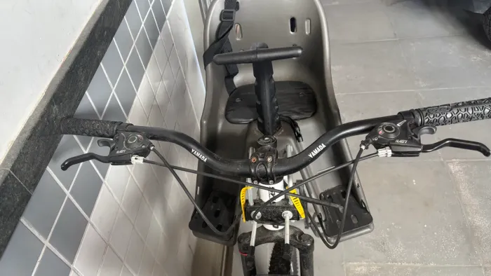 Bike aro 29?