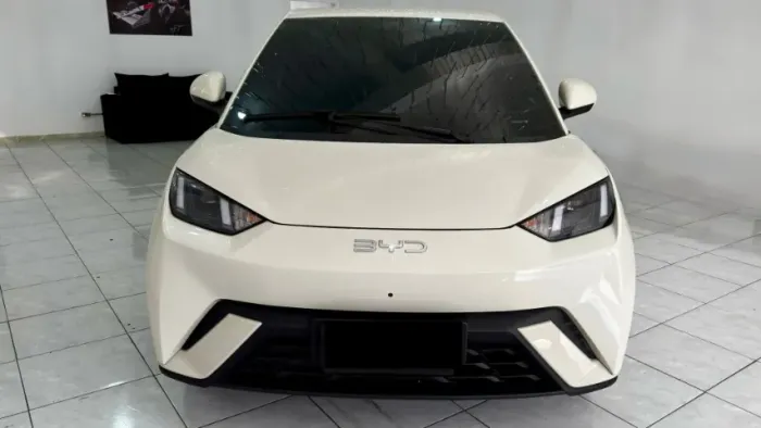BYD Dolphin mini 2025