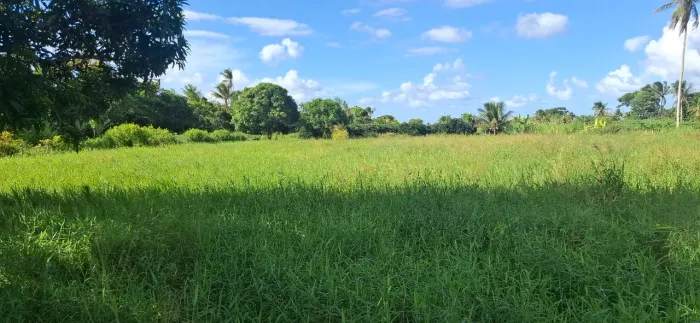Capineira a venda