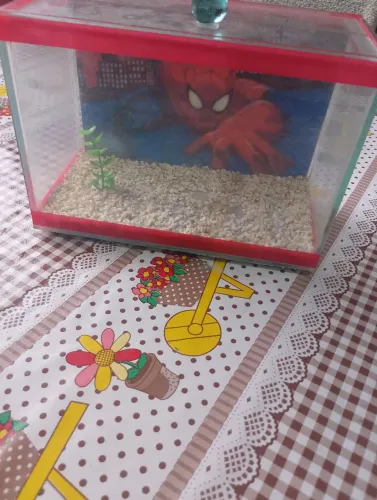 Aquário para peixe Betta