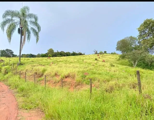 TERRENO 4,6HC EM BONFIM.