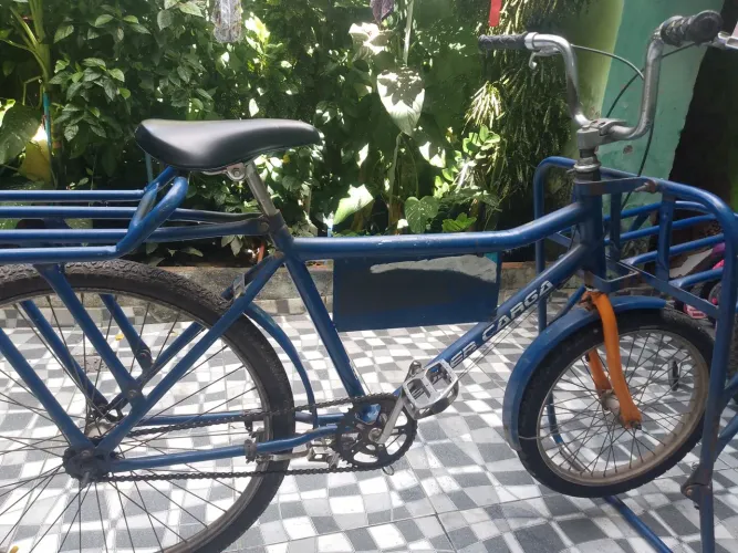 Bicicleta Cargueira 