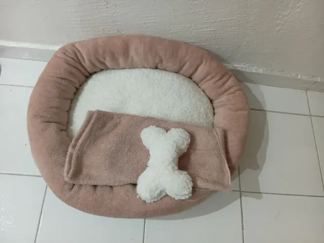 CAMINHA PET NOVA 
