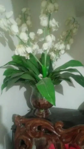 Decoração