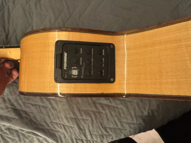 viola capira luthier