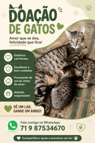Doações de gatos