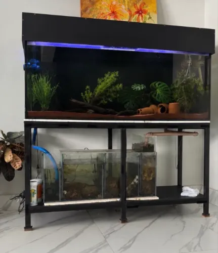 Vendo lindo aquário de 600L
