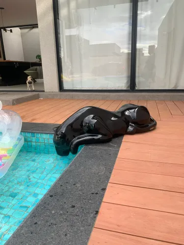 Escultura pra Piscina