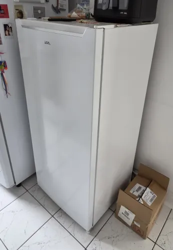 Freezer Vertical EOS 154L