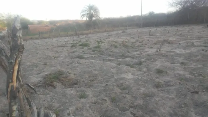 Terreno em município de Jacobina 