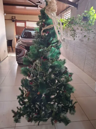 Árvore de natal