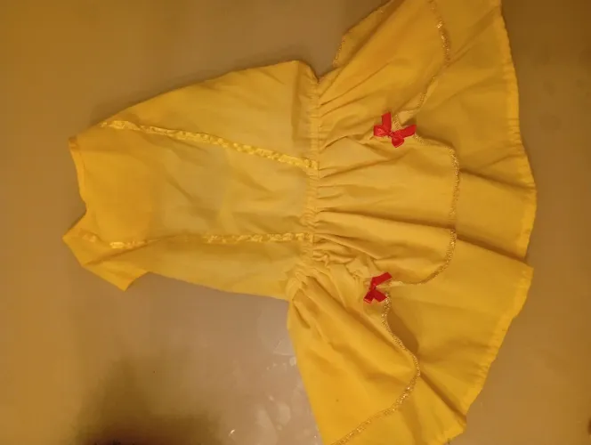 Roupas para cachorros e gatos