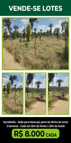 TERRENOS EM SERROLANDIA SAIDA PRA MARACUJA