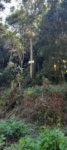Chácara em São Lourenço da Serra quase 4mil metros há( 45 min de SP)