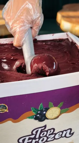 Caixa de açaí e cupuaçu 10 litros