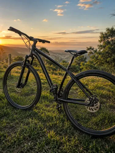Bicicleta aro 29