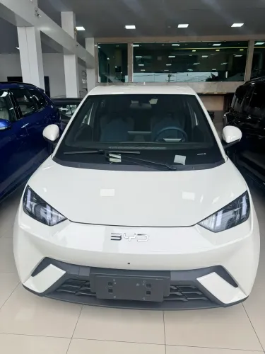BYD Dolphin Mini (Elétrico) 2027
