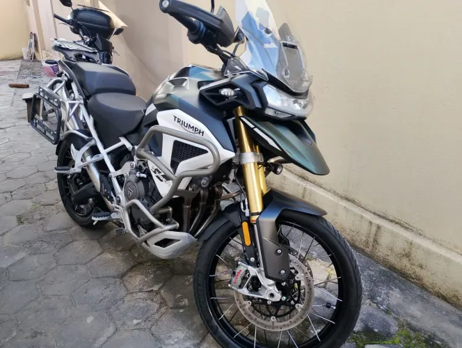 Tiger 1200 raly pro