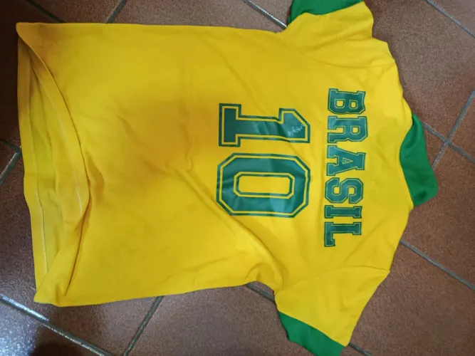 Camisas da seleção brasileira infantil 60 reais cada