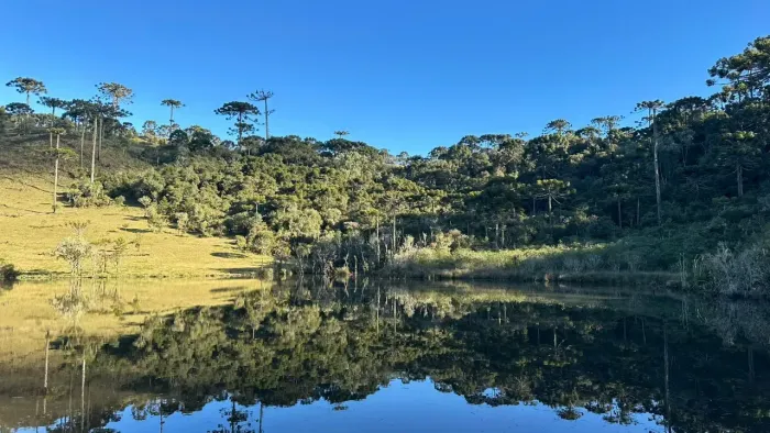 Imóvel para venda com 30000 metros quadrados em Zona Rural - Urubici - SC